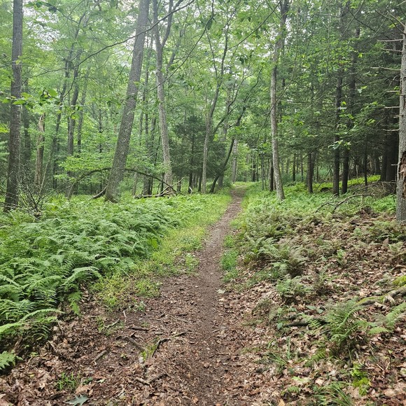 Meet your Posher, Eric - Picture 1 of 1